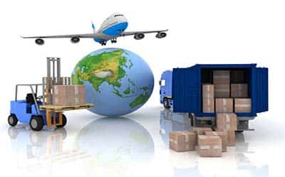 Trang chủ 10 portt17