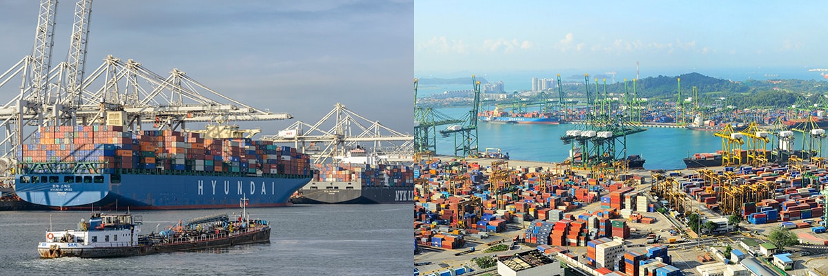 Dịch vụ 1 sea freight